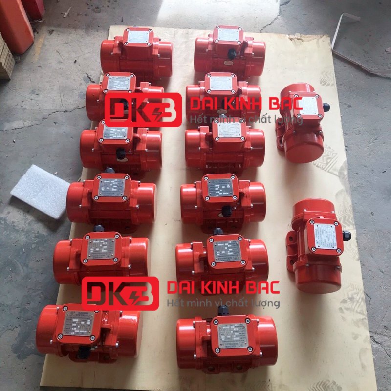 ảnh tại kho động cơ rung Oli 6 cực