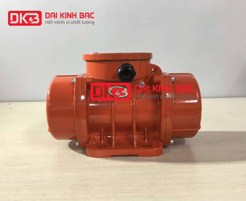 ảnh động cơ rung Oli 40W