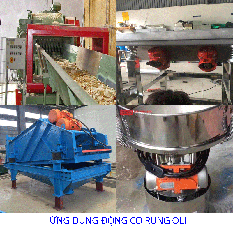 ứng dụng động cơ rung Oli 01.8KW