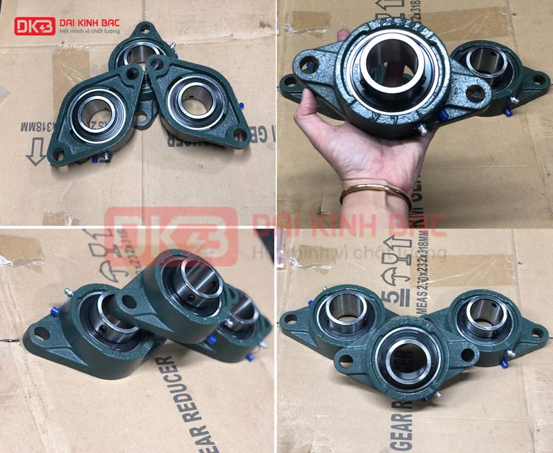 gối đỡ vòng bi ucfl 213