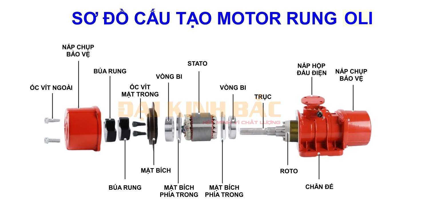 cấu tạo mô tơ rung oli 0.18Kw 2 cực 