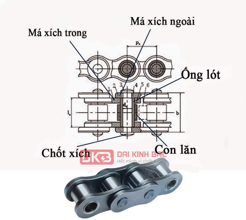 Xích Đơn Dongbo DBC 180-1 Hàn Quốc