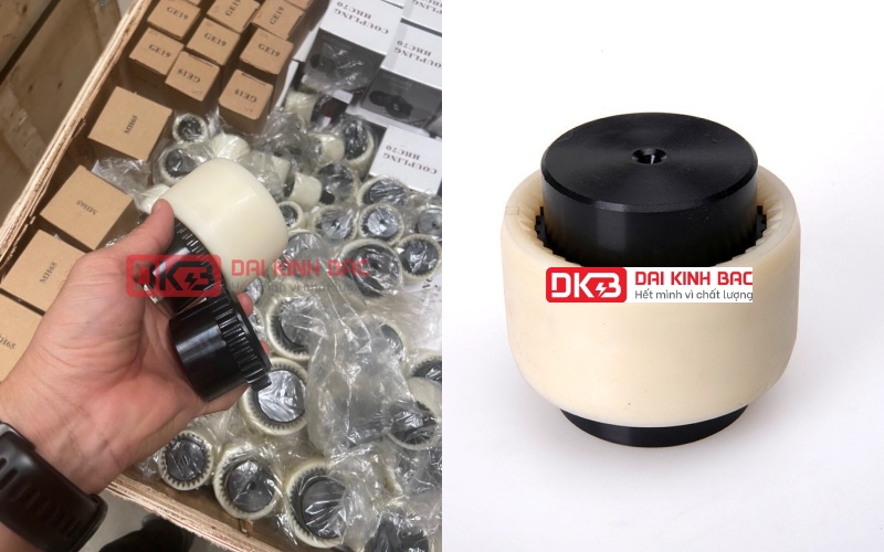 Cấu tạo của khớp nối trục bánh răng Nylon RGF