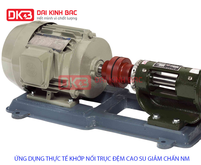 ung dung thuc te khop noi dem cao su NM DKB