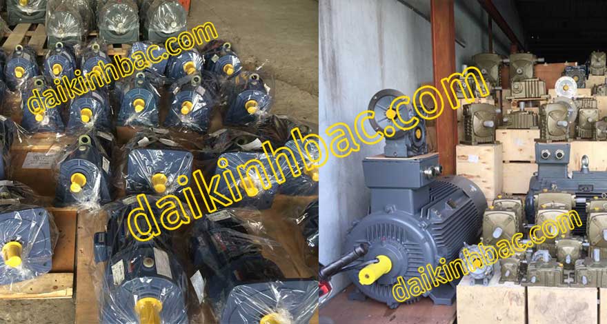 KHO HÀNG MOTOR GIẢM TỐC