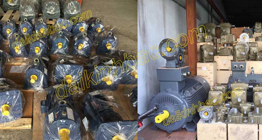 KHO HÀNG MOTOR GIẢM TỐC