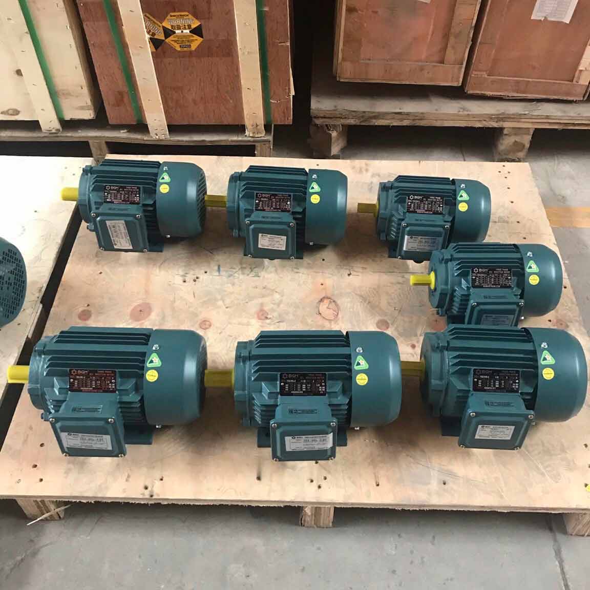 anh thuc te tai kho mo to dien 3 pha 110kw 150hp