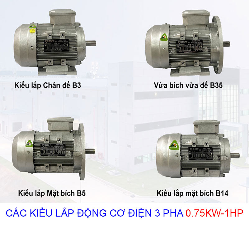 các kiểu lắp động cơ điện 3 pha 0.75kw 1hp