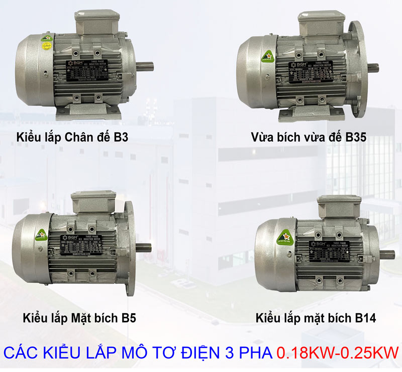 các kiểu lắp mô tơ điện 3 pha 018kw 025hp
