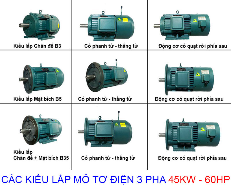 các kiểu lắp mô tơ điện 3 pha 45kw 60hp