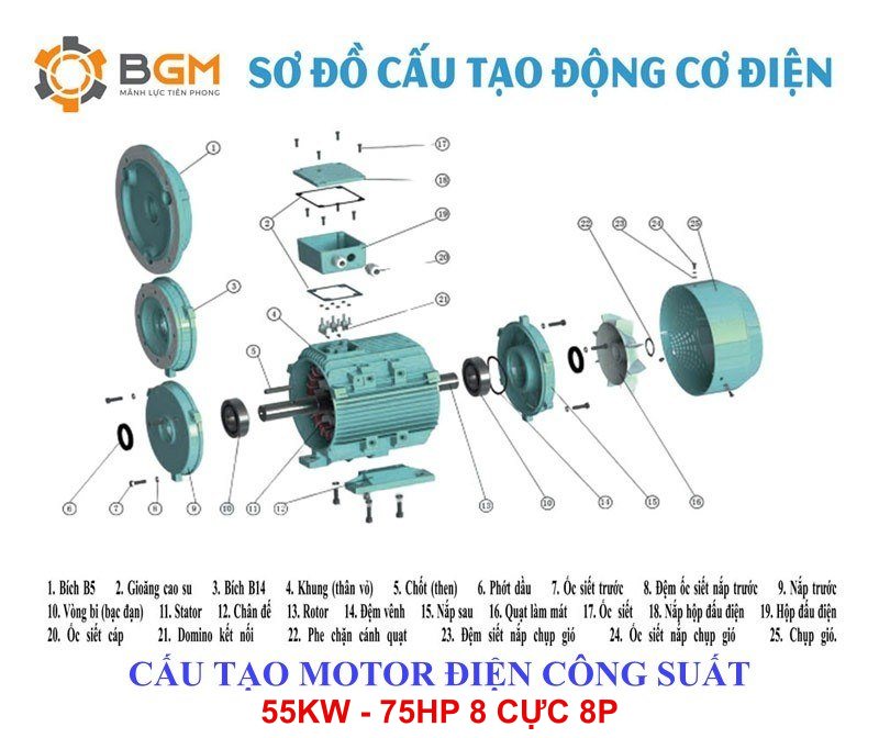 cấu tạo chi tiết motor điện 55kw - 75hp 8 cực 8p