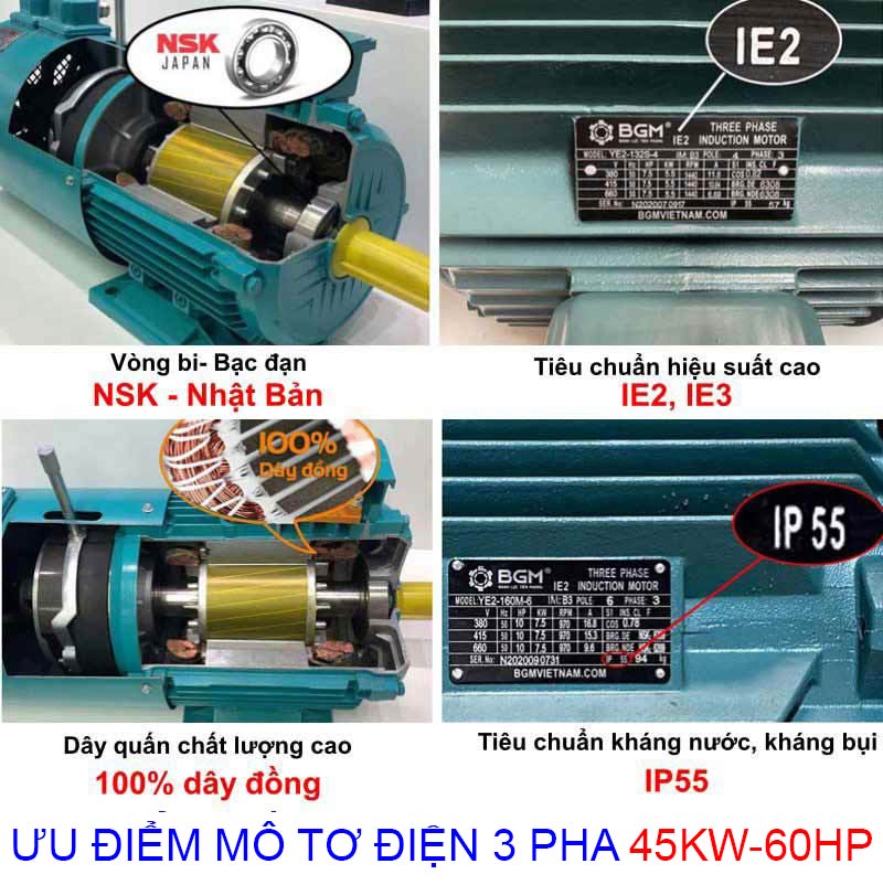 ưu điểm mô tơ điện 3 pha 45kw 60hp